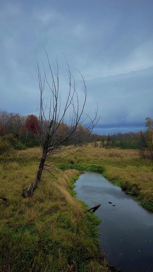 A Chilly Day Photograph by Jason Tompkins - Fine Art America