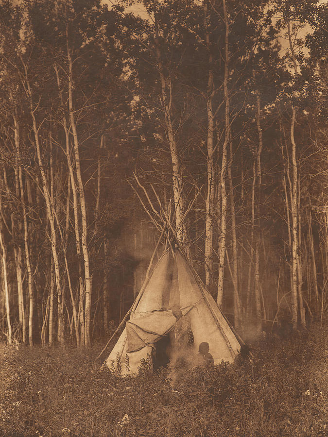 A Chipewyan Among the Aspens 1925 Photograph by Edward S Curtis A Chipewyan Among the Aspens 1925 Photograph by Edward S Curtis