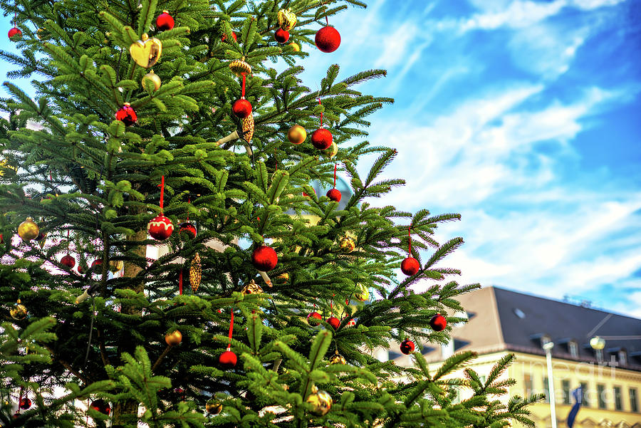 A Christmas Tree in Munich Photograph by John Rizzuto