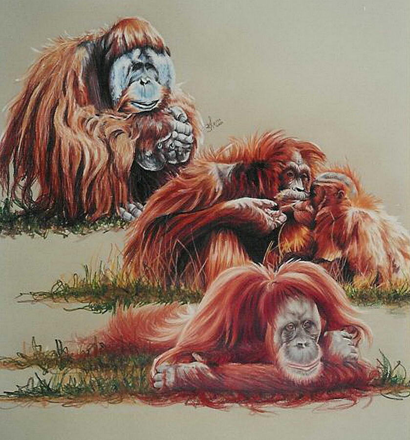 A Clan of Redheads Drawing by Barbara Keith