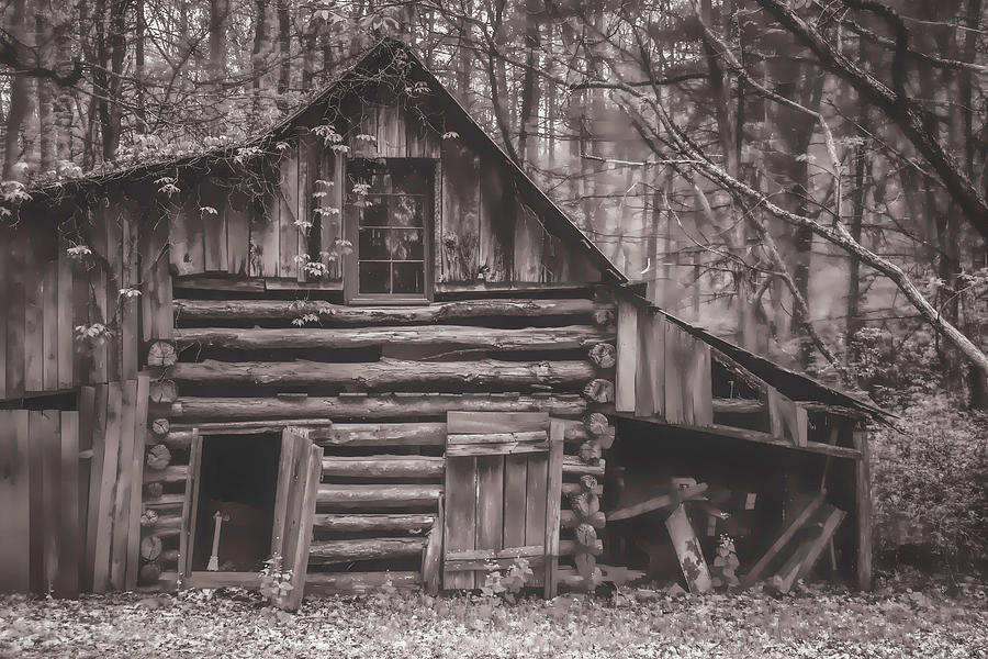 A Classic Back In The Woods Photograph by Jim Love - Fine Art America