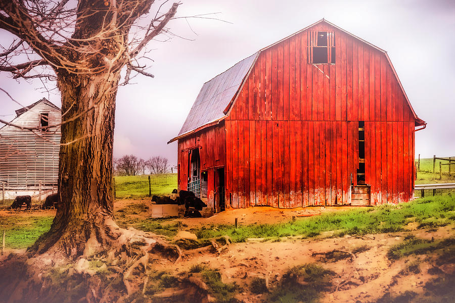 A Classic In Red Photograph by Jim Love - Fine Art America