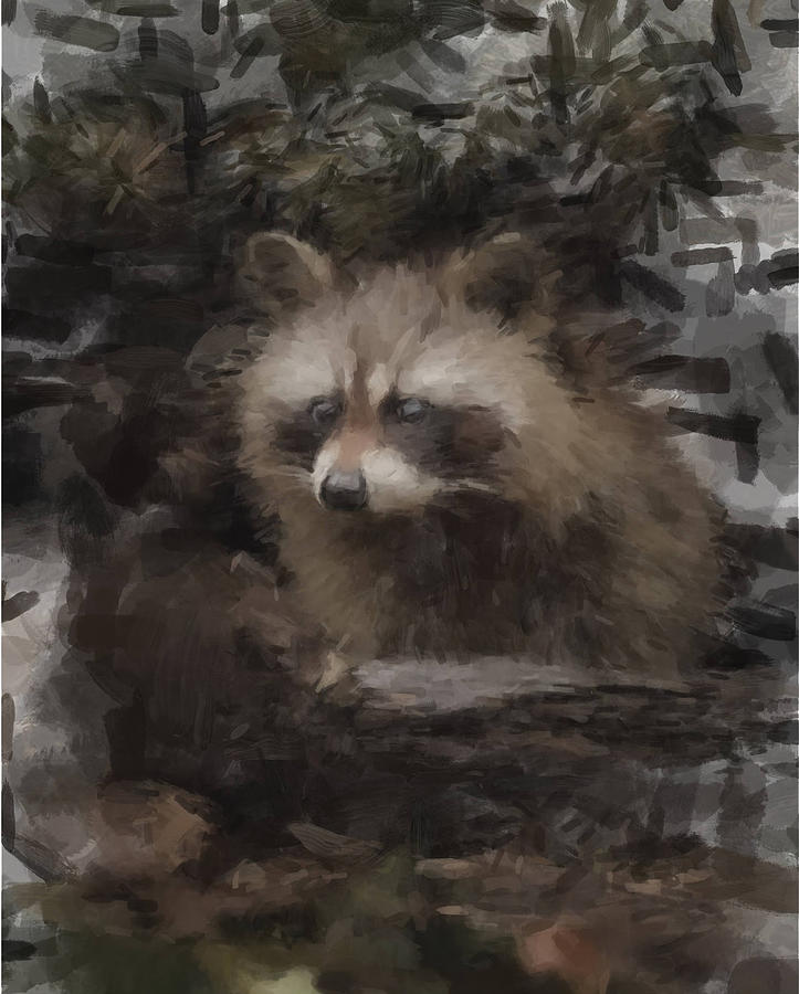 A Cleaver Racoon Painting by Gary Arnold
