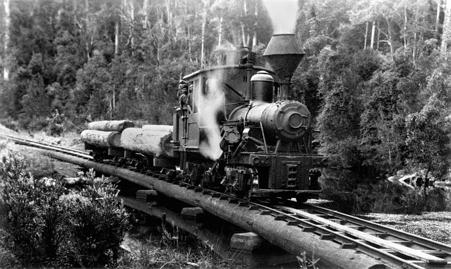 A Climax Locomotive Of The Canungra Pine Creek Tramway - Circa 1915 Photograph by War Is Hell Store