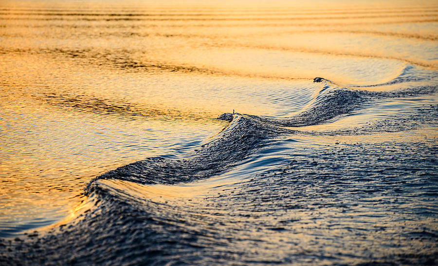 A closeup of a wave and wake in the refelcted suns Photograph by Matt Anderson Photography