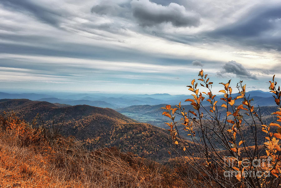 A Cloudy Autumn Day At Skyline Drive Photograph by Lois Bryan