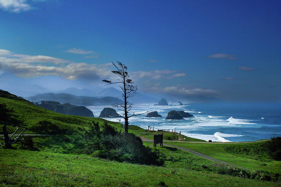 A Cloudy Cannon Beach Photograph by David Patterson