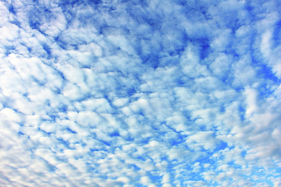 A Cloudy White Blue Sky Photograph