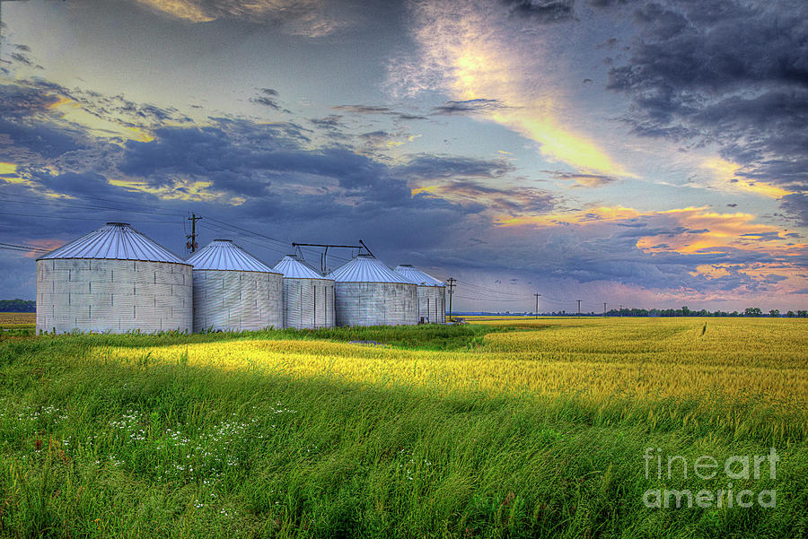 A Cluster of Grain Bins Photograph by Larry Braun