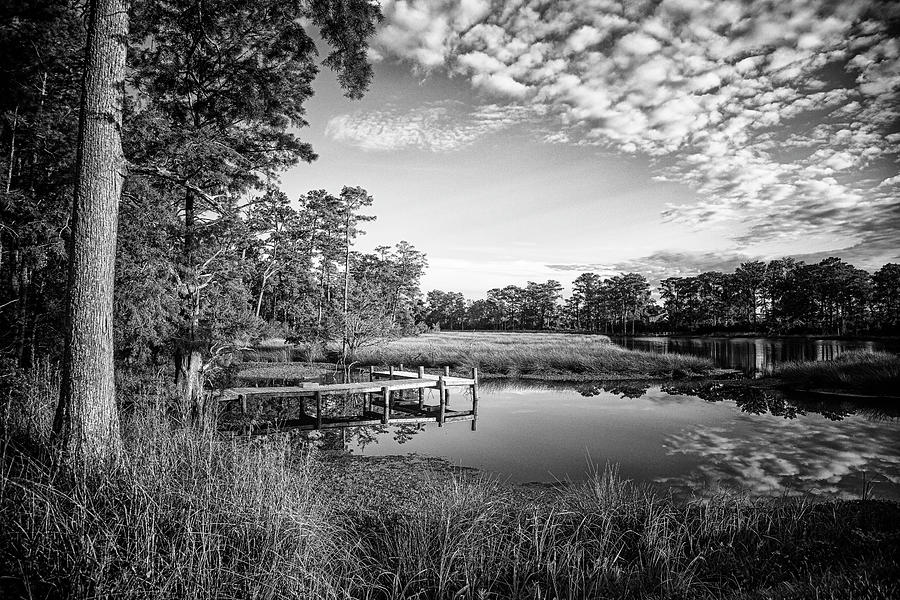 A Coastal Creek in Black and White Photograph by Bob Decker