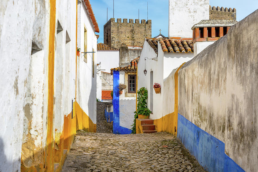 Architecture Photograph - A Cobbled Street in Obidos by W Chris Fooshee
