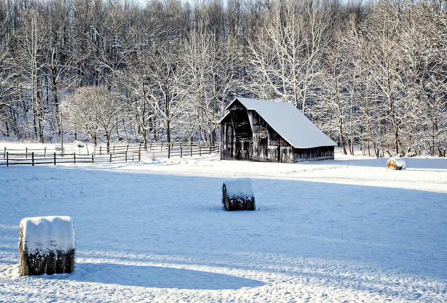 A Cold Morning At The Barn #2 Photograph by Julie Mann Sperry - Fine ...