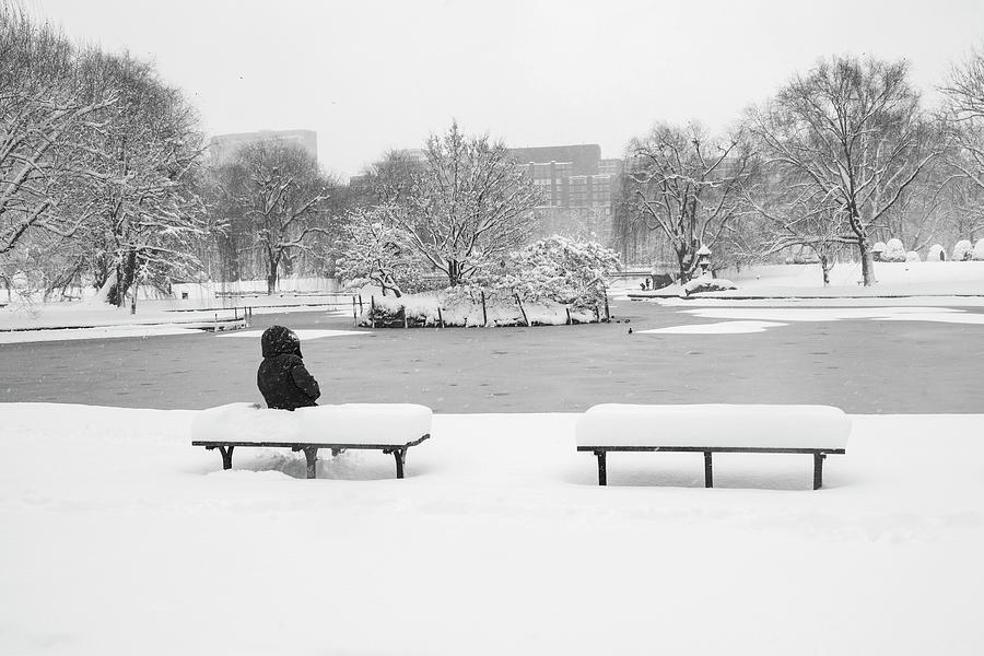 A Cold Seat in the Boston Public Garden Boston Massachusetts Black and White Photograph by Toby McGuire
