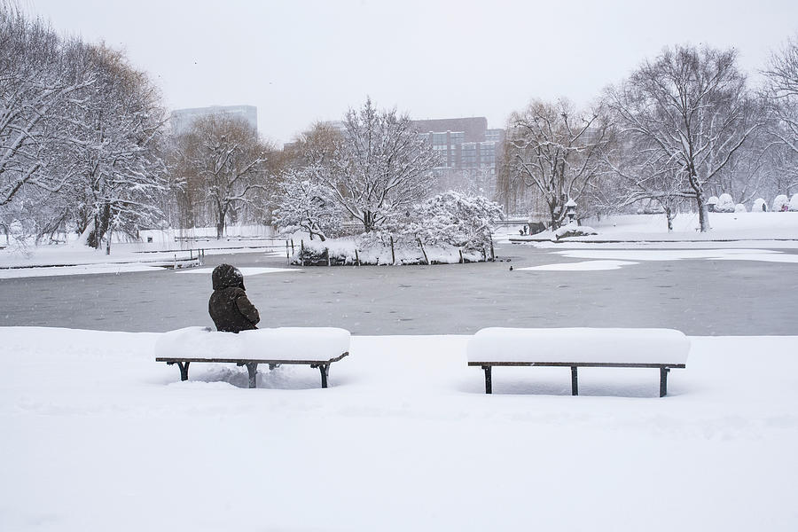 A Cold Seat in the Boston Public Garden Boston Massachusetts Photograph by Toby McGuire
