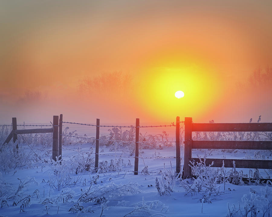 A Cold Sunrise Photograph by Dan Jurak