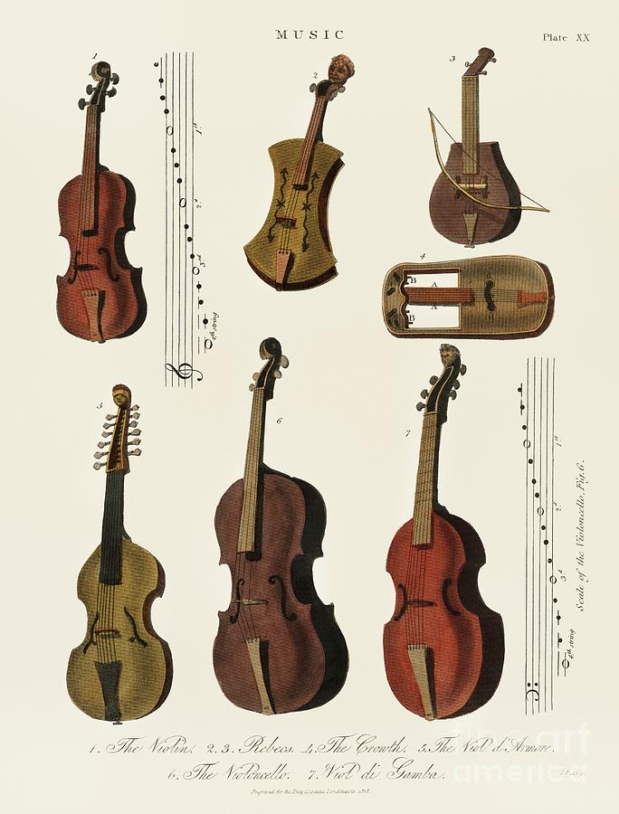 A collection of antique violin, viola, cello and more from Encyclopedia Londinensis  Painting by Shop Ability