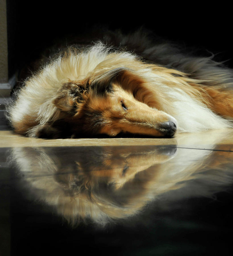 A Collies Travertine Reflection Photograph by Bonnie Colgan