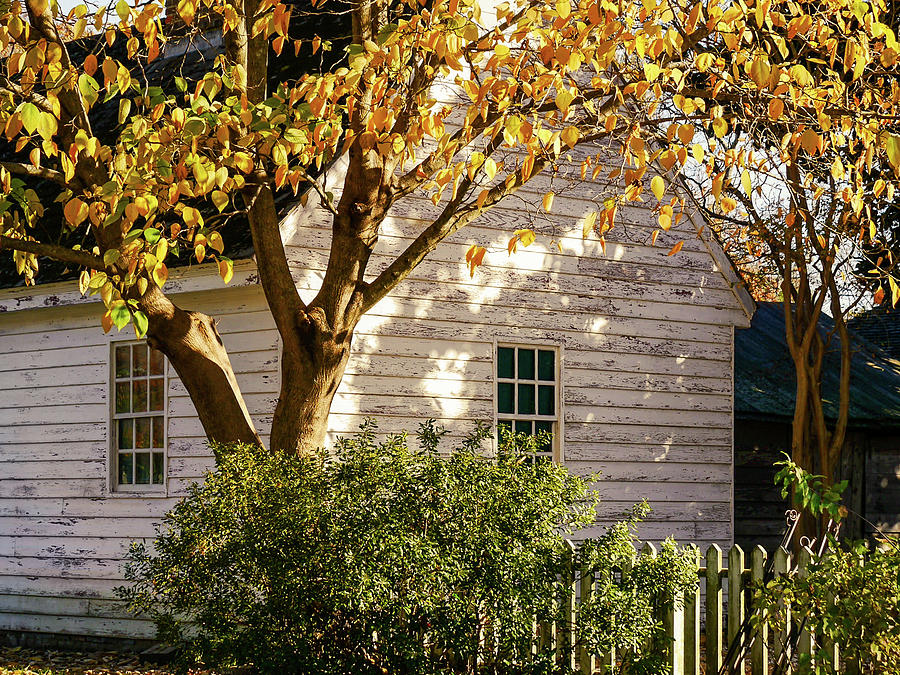 A Colonial Home in Autumn Photograph by Rachel Morrison