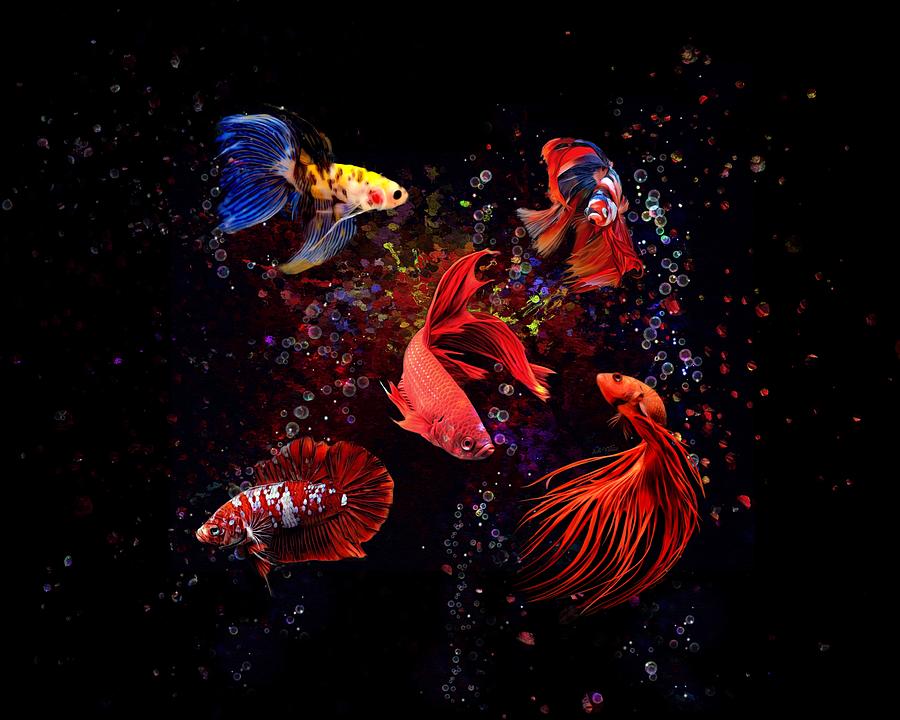 A Colorful Artistic World Of Betta Fish Digital Art