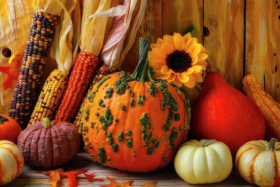 Pumpkin Photograph - A Colorful Autumn by Garry Gay