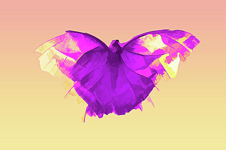 A Colorful Butterfly Purple Digital Art by Cathy Anderson