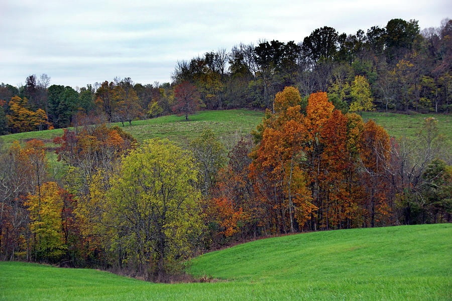 A Colorful Field Photograph by Mike Murdock