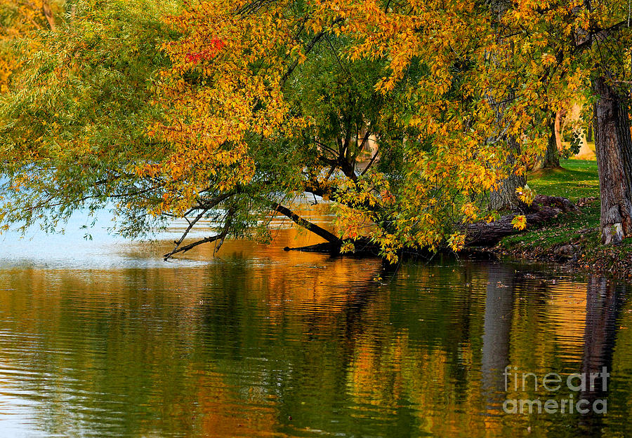 A Colorful Scene to Reflect Upon Photograph by fototaker Tony