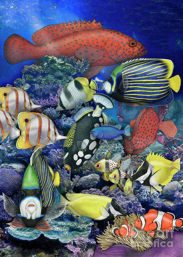 A Colorful World Of Fish In The Coral Reef - Urft-valley-art Painting