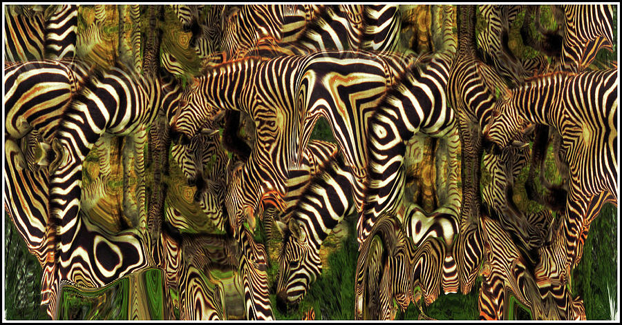 A Confusion of Zebras Photograph by Wayne King