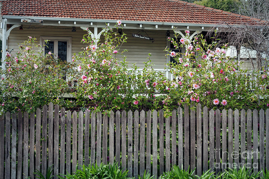 A Cottage in Bridgetown, Western Australia Photograph by Elaine Teague