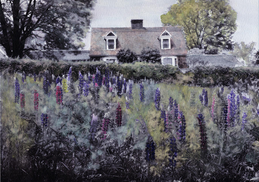 A Cottage in the Lupine Photograph by Wayne King