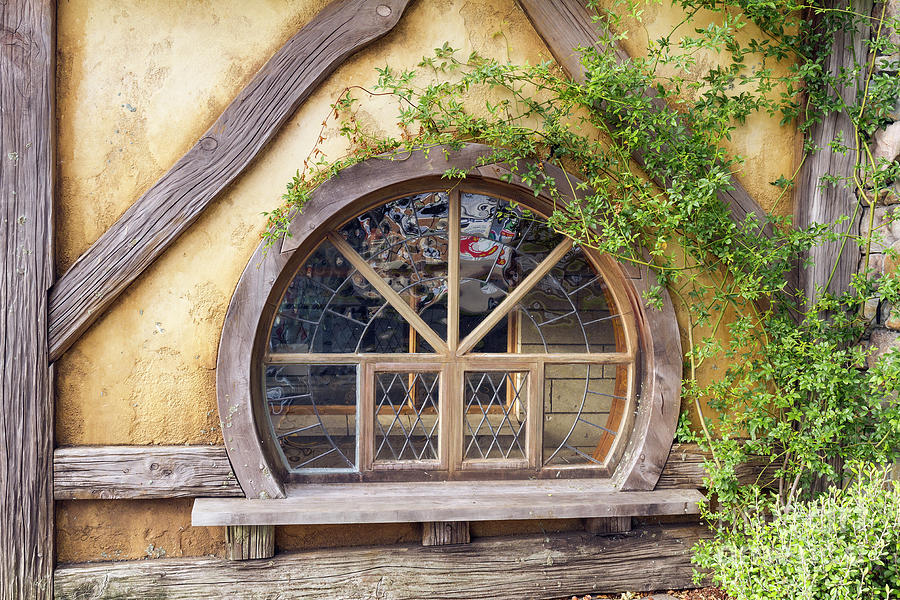 A Cottage Window Photograph by Elaine Teague