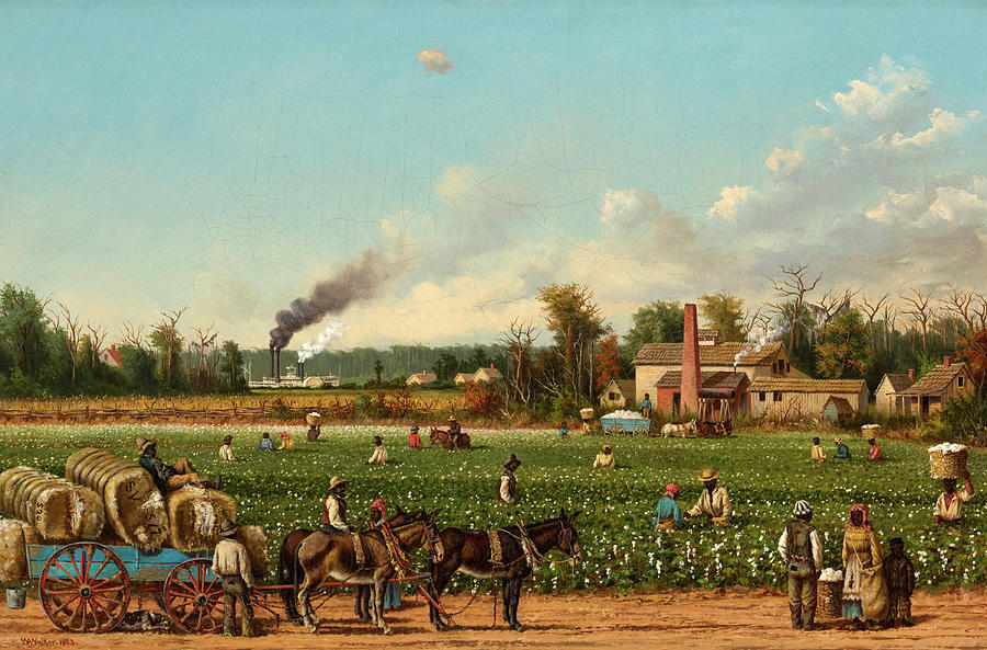 William Aiken Walker Painting - A Cotton Plantation on the Mississippi by William Aiken Walker