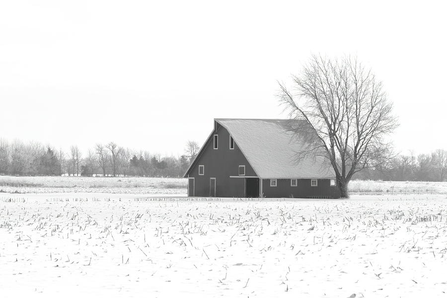 A Country Classic black and white Photograph by Lens Art Photography By Larry Trager