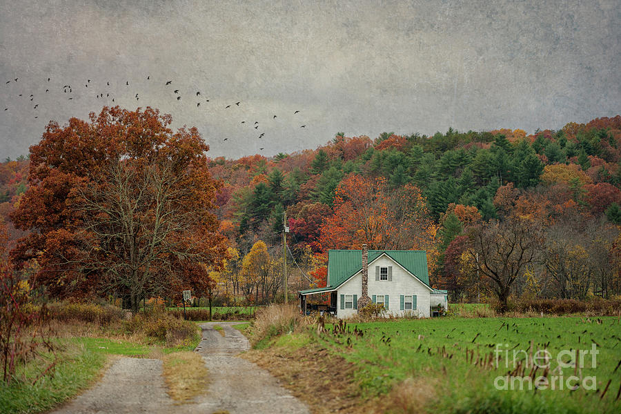 A Country Home Photograph by Laurinda Bowling