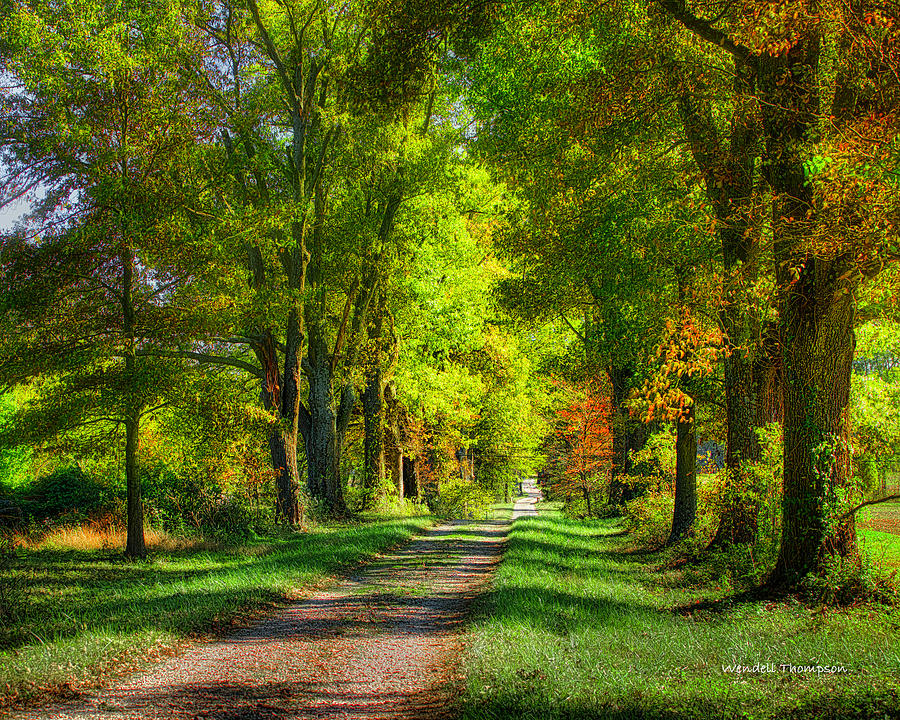 A Country Lane Photograph by Wendell Thompson