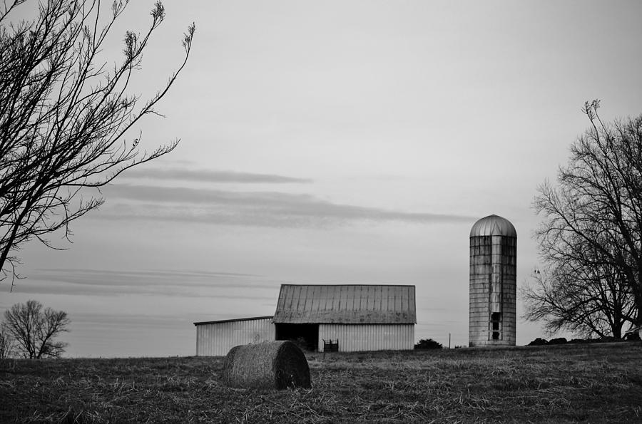 A Country Scene Photograph by Cynthia Guinn