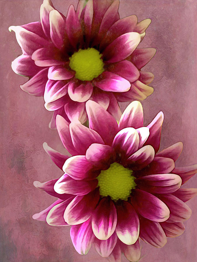 A Couple of Daisies Digital Art by Renette Coachman