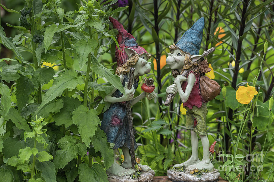 Gnomes Photograph - A Couple Of Friends by Eva Lechner