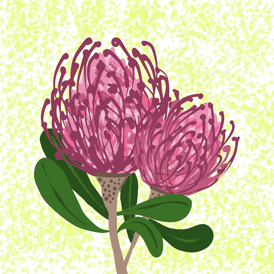 A couple of pink Pincushion Proteas Mixed Media by Winter