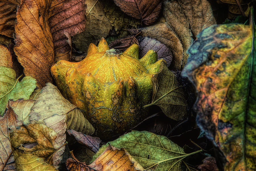 A Cozy Autumn Photograph by Steve Sullivan