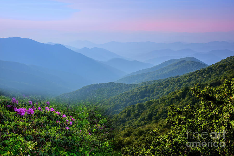 A Craggy Gardens Sunset Photograph by Shelia Hunt