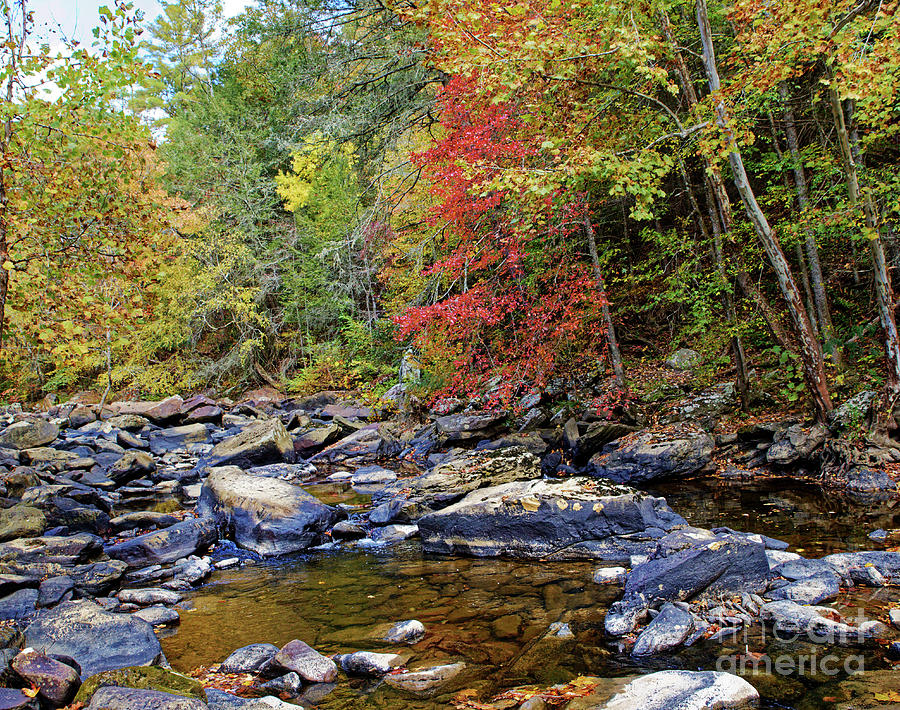 Fall Photograph - A Crooked Fork Fall by Paul Mashburn