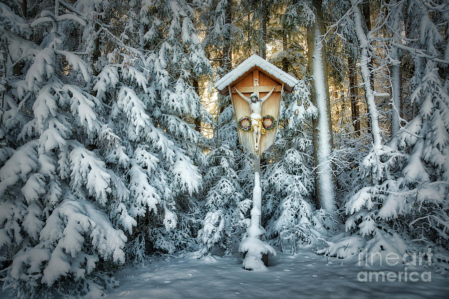 A Cross in the Forest Photograph by Edmund Nagele FRPS