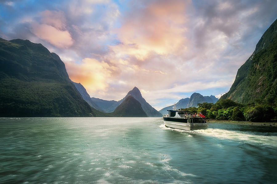 milford sound sunset cruise