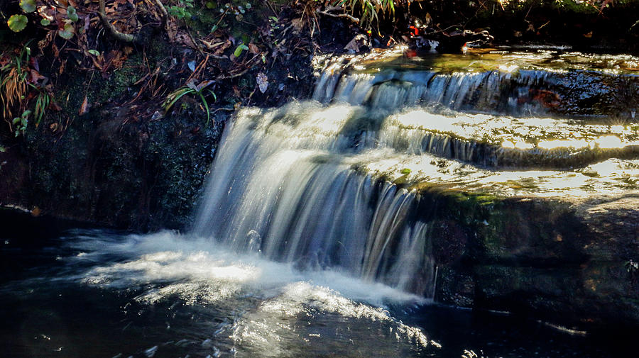 A Csonka Falls Pop Photograph by Ed Williams