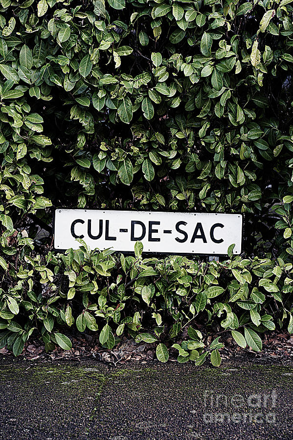 A cul-de-sac sign Photograph by Tom Gowanlock