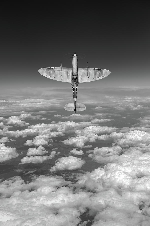 A cut above black and white version Photograph by Gary Eason