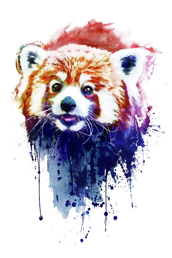 A Cute Red Panda Painting by Marian Voicu - Pixels