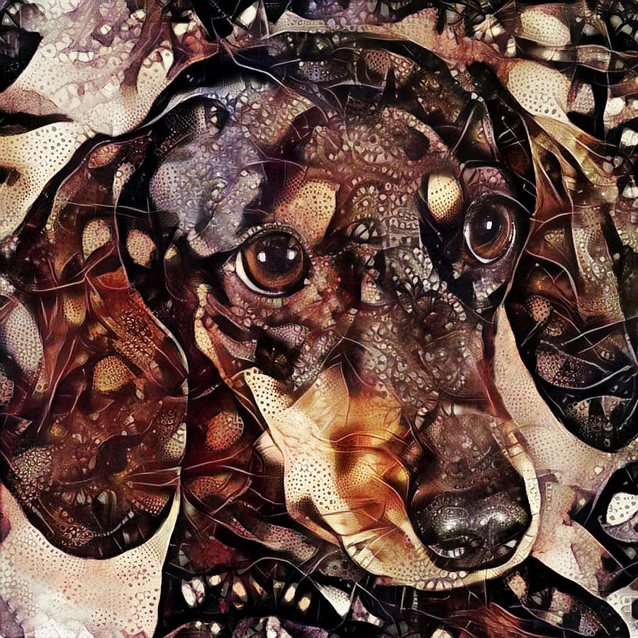 A Dachshund Called Dougie Digital Art by Peggy Collins